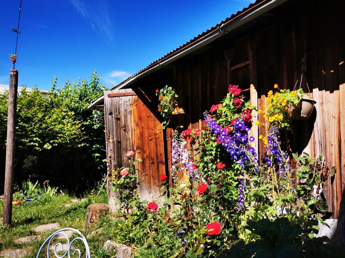 Gite D'Etape Auberge De L'Ardoisiere ジョジエ エクステリア 写真
